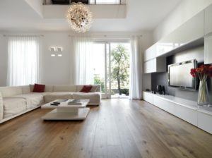 Modern Living Room in Furnished Apartment